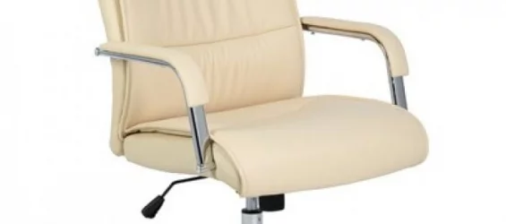 Кресло руководителя ЕСхаир-509 ТПУ 338539 Бежевое / EСhair-509 TPU
