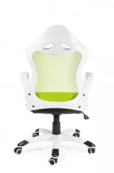 Кресло офисное Тесла CКС0398Х01 Вхите греен / CX0398H01 White green