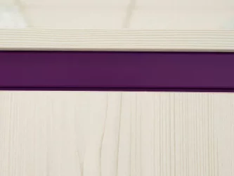 Шкаф для одежды Мегаполис 55.01.1 Сосна Астрид