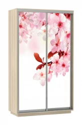 Шкаф-купе двухдверный Экспресс Дуо 1200х2200х Сакура/Ясень шимо светлый / 1200х2200h