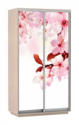 Шкаф-купе двухдверный Экспресс Дуо 1200х2400х Сакура/Дуб молочный / 1200х2400h