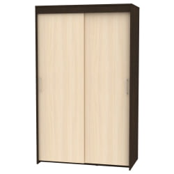 Шкаф-купе Т-1-198х120х45(Венге-ДМ-2) / T-1-198х120х45(Венге-ДМ-2)