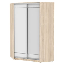 Шкаф-купе ЙА-230х1400-718-2(ДСС-Белый-Д1Д2) / YA-230х1400-718-2(ДСС-Белый-D1D2)