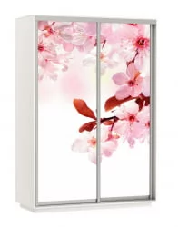 Шкаф-купе со стеклом Экспресс Дуо 1600х2200х Сакура/Белый снег / 1600х2200h