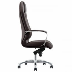 Кресло руководителя БРАБИКС ПРЕМИУМ Аурус ЕКС-705, мультиблок, алюминий, экокожа, коричневое, / BRABIX PREMIUM Aurus EX-705,