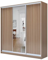 Шкаф-купе эконом Хит-23-20-151 Ясень шимо темный