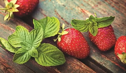 Стол обеденный Прямоугольный 1200х700 фп Клубника ЛДСП серый