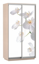 Шкаф-купе с фотопечатью Экспресс Дуо 1200х2400х Орхидея белая/Дуб молочный / 1200х2400h