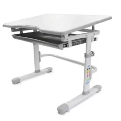 Комплект парта и стул с чехлом РИФФОРМА СЕТ-10 Белый Розовый / RIFFORMA SET-10