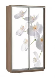 Шкаф-купе со стеклом Экспресс Дуо 1200х2200х Орхидея белая/Ясень шимо тёмный / 1200х2200h