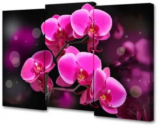 Модульная картина Топлигхт ТЛ-М2074 / Toplight TL-M2074