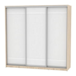 Шкаф-купе Б-230х235х60-2(ДСС-Белый-Д9Д9Д9) / B-230х235х60-2(ДСС-Белый-D9D9D9)