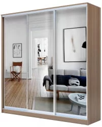 Шкаф-купе Хит-24-20-555 Ясень шимо темный