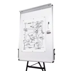 Доска-флипчарт магнитно-маркерная БРАУБЕРГ 70х100 см / BRAUBERG