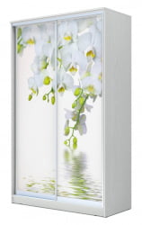 Шкаф-купе эконом Хит-23-17-77 Орхидея Белая шагрень