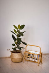 Газетница 17/13 миндаль матовый