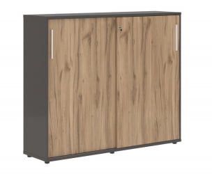 Шкаф с дверьми-купе ЕДИС ЕМC 1643 Дуб Денвер светлый Белый Мокко / EDIS EMC