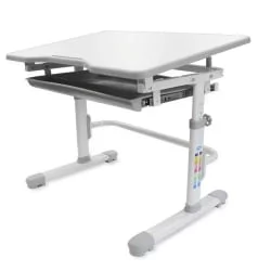Комплект парта и стул с чехлом РИФФОРМА СЕТ-10 Белый Серый / RIFFORMA SET-10