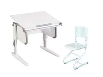 Растущая мебель Парта 1/75 + Стул Белый Серый / Parta Stul