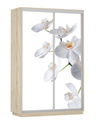 Шкаф-купе двухдверный Экспресс Дуо 1400х2200х Белая орхидея/Дуб сонома / 1400х2200h_0
