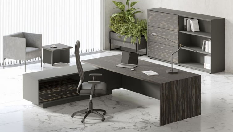 Кабинет руководителя ДЭЛИ №01 Эбен Антрацит / DALI_0