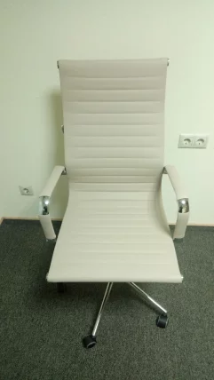 Кресло руководителя Еверпроф Рио М экокожа Бежевый / Everprof Rio_5