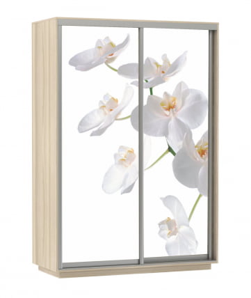 Шкаф-купе двухдверный Экспресс Дуо 1400х2200х Белая орхидея/Ясень шимо светлый / 1400х2200h_0