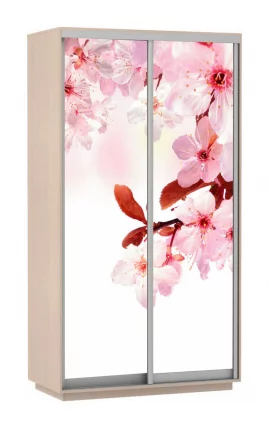 Шкаф-купе двухдверный Экспресс Дуо 1200х2200х Сакура/Дуб молочный / 1200х2200h_0