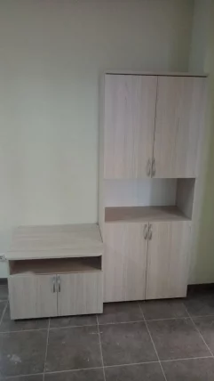 Шкаф высокий закрытый с нишей Глассй 6.19.111 Туя / Glassy_4