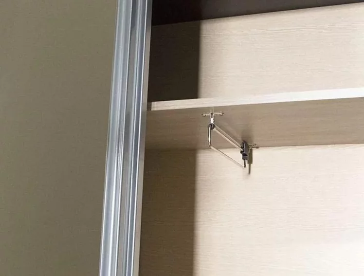 Шкаф-купе Ольга 10.1 Ясень шимо светлый Венге_2