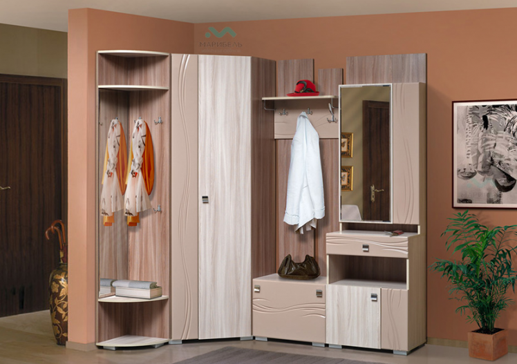 Прихожая Визит-5