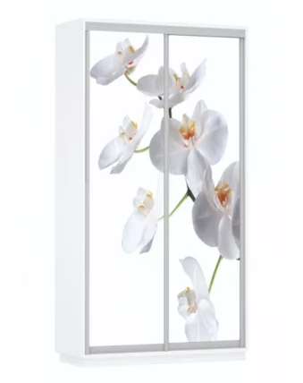 Шкаф-купе двухдверный Экспресс Дуо 1200х2400х Орхидея белая/Белый снег / 1200х2400h_0