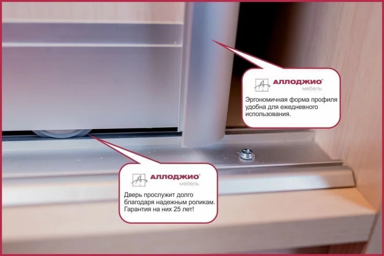 Шкаф-купе Хит-24-20-111 Аруба Венге_5