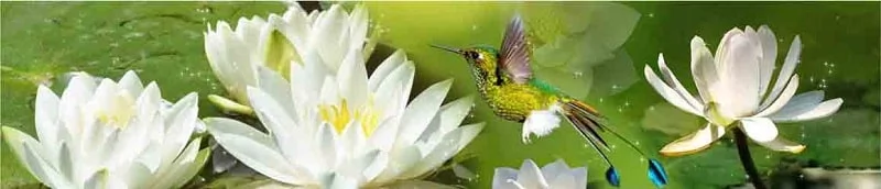 Глянцевый фартук с эффектом мерцания (КОМПОЗИТ) Лотос_0