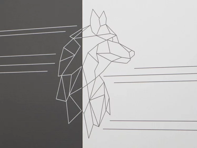 Шкаф для одежды с полками и штангой Аляска 501.01_2