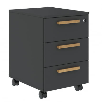 Тумба мобильная Форта ФМC-3Д Черный графит / Forta FMC-3D_0