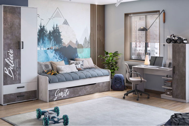 Кровать-софа Оливер, выдвижная, 800*2000 мм, ясень анкор светлый/камень темный с ФП_1