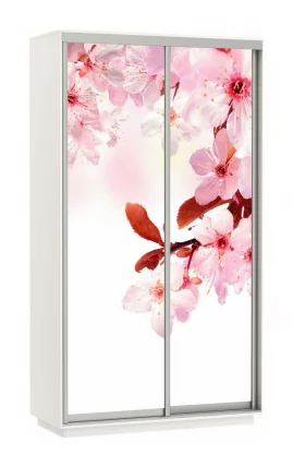 Шкаф-купе двухдверный Экспресс Дуо 1200х2400х Сакура/Белый снег / 1200х2400h_0