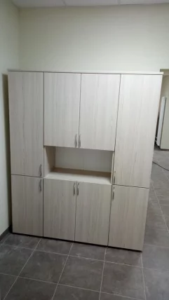 Шкаф высокий закрытый с нишей Глассй 6.19.111 Туя / Glassy_3