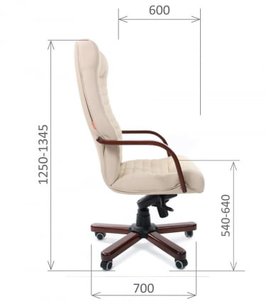 Кресло руководителя CХАИРМАН 480 ВД Бежевый / CHAIRMAN WD_4