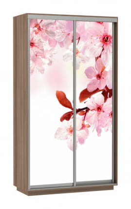 Шкаф-купе двухдверный Экспресс Дуо 1200х2400х Сакура/Ясень шимо тёмный / 1200х2400h_0