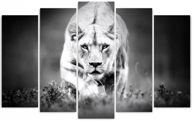 Модульная картина Топлигхт хсм ТЛ-ПМ0008 / Toplight TL-PM0008_0