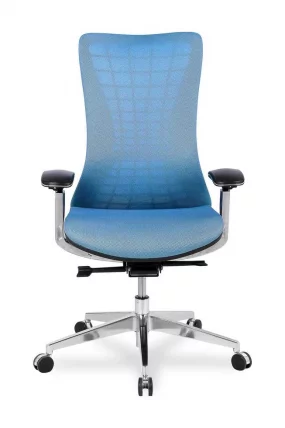 Кресло руководителя ХЛC-2588Ф/Блуе / HLC-2588F/Blue_1