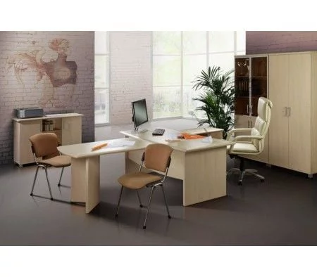 Набор мебели для руководителя Премиум Набор 2 Орех_0