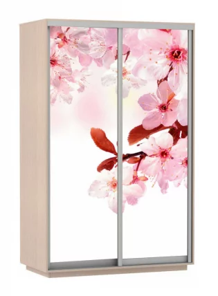 Шкаф-купе двухдверный Экспресс Дуо 1600х2400х Сакура/Дуб молочный / 1600х2400h_0