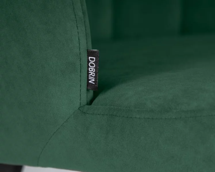 Стул обеденный ДОБРИН НАОМИ (ЭМАЛЬ ЧЕРНЫЙ МУАР велюр Катаниа Изумруд) / DOBRIN NAOMI Catania Izumrud)_6