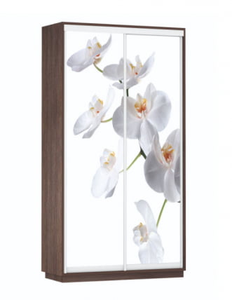 Шкаф-купе двухдверный Экспресс Дуо 1200х2200х Орхидея белая/Венге / 1200х2200h_0
