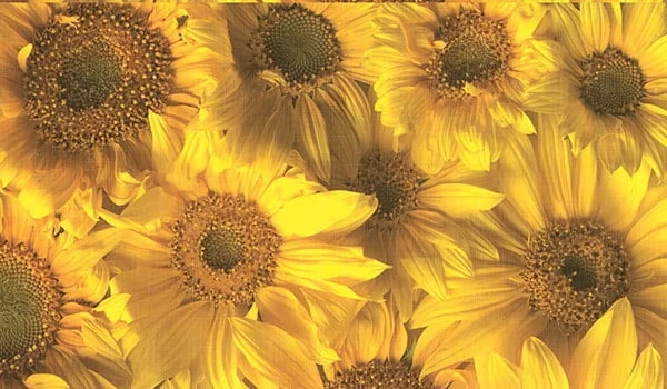 Стол обеденный Европейский фп Подсолнухи ЛДСП серый_1