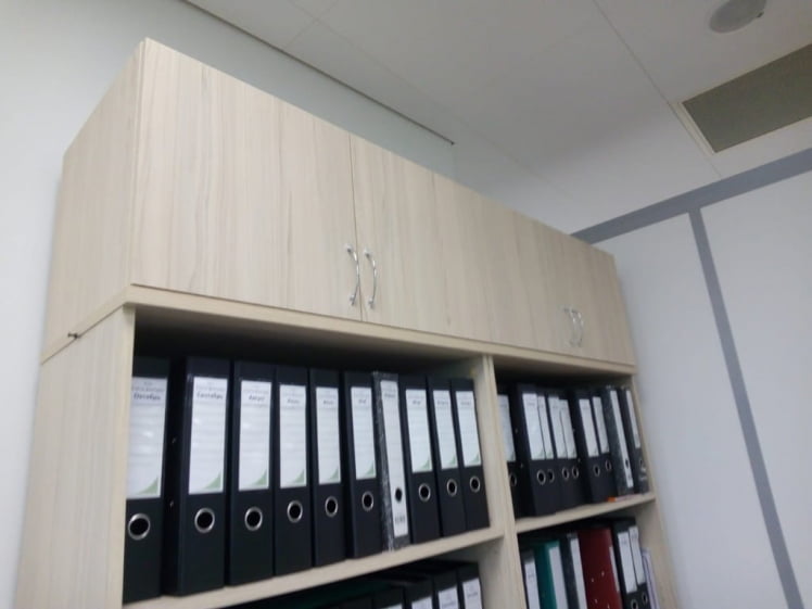 Антресоль Твин 16.13.131 Туя / Twin_3