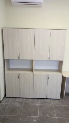 Шкаф высокий закрытый с нишей Глассй 6.19.111 Туя / Glassy_2